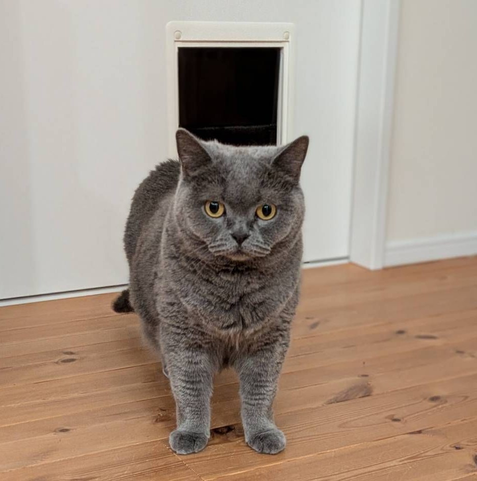 システマ茅ヶ崎マスコットキャラクター