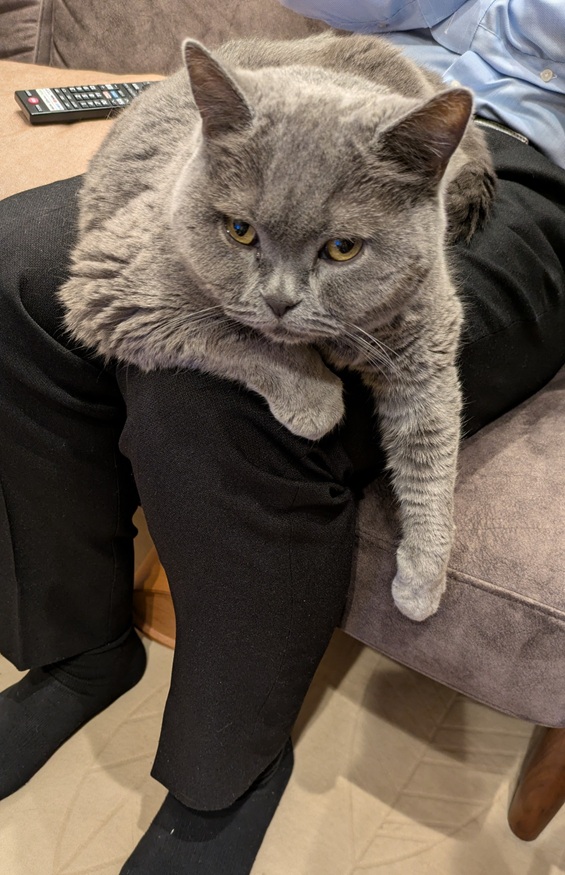 システマ茅ヶ崎マスコットキャラクター